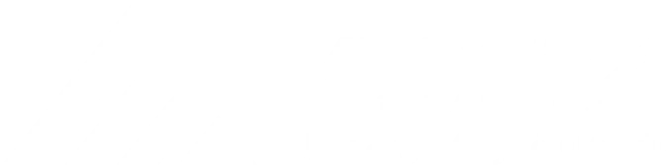شركة فيرتكس ميتال